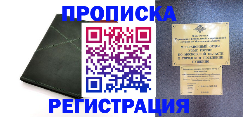 прописка в квартире в Новодвинске